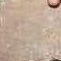 پیشو ❤️ profil fotoğrafı