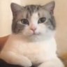 Norman 的头像
