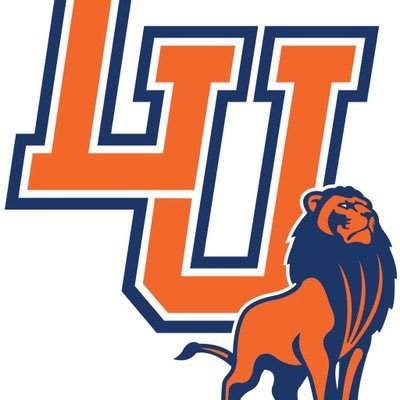 LangstonLionMBB's profile picture