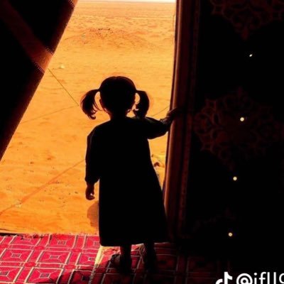 S729172's profile picture