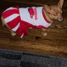 Profilbild von TexasRazorback