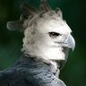 Lfvillarroel profil fotoğrafı