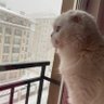 Фото профиля htcçry