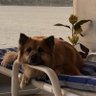 Cory Desmond profil fotoğrafı