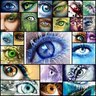 Profilbild von you-ki