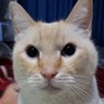 じんちゃん 的头像