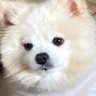 Profilbild von aung415