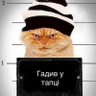 Кіт, просто кіт profil fotoğrafı