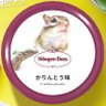 シマリスのかりんとう🐿 的头像