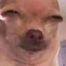 Profilbild von Noname