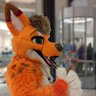 Laminar Fox 🍊🦊🌻 profil fotoğrafı