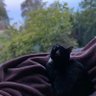 Bella's profile picture