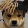 young-throwed-playa's profile picture