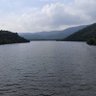 Фото профиля MangoMan