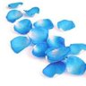 bluepetals profil fotoğrafı