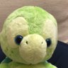 シンジカオルレイ's profile picture