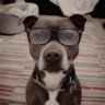 S.John's profile picture