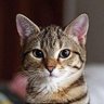 ตั้งชื่อไรดีวะ's profile picture