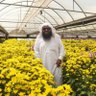 محمد الفهد 的头像