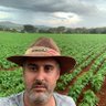 Фото профиля Paulo Reis Figueiredo