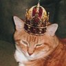 Profilbild von Brian Angeletti