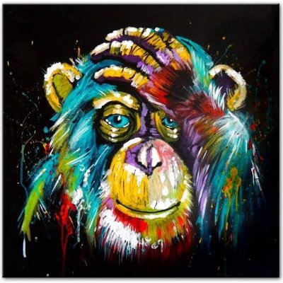 Mounotella's profile picture