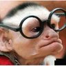 Фото профиля F1ack Monkey