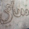 Фото профиля سامي العريني