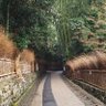 だあきにい 的头像