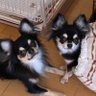 ひろぽんCAMP's profile picture
