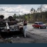 David's profile picture