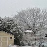 oaklanjun profil fotoğrafı
