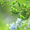 Фото профиля Robby Rajput