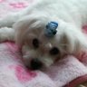ヒロ profil fotoğrafı