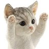 neko9876543's profile picture