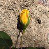 Фото профиля Angy 🤍