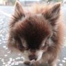 とも 的头像