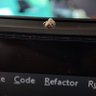 Profilbild von This is not a bug