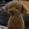 kona★0311's profile picture
