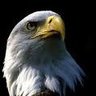 Bill Stien's profile picture