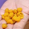 Фото профиля निराजन कँडेल®
