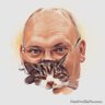 Paul Day's profile picture