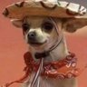 Profilbild von Hadunkanokᅠᅠᅠᅠᅠᅠᅠᅠᅠᅠᅠᅠᅠᅠᅠᅠᅠᅠᅠᅠᅠᅠᅠᅠᅠᅠᅠᅠᅠᅠᅠᅠᅠᅠᅠᅠ
