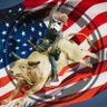 Rodeo Empire's profile picture