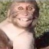 Grzegorz Wizner's profile picture