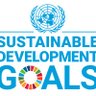 SDGoals's profile picture