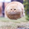 BubJr.'s profile picture