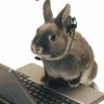 Diane2Know profil fotoğrafı