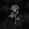 z's profile picture