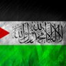 Ibrahim ALjenini-ابراهيم الجنيني's profile picture